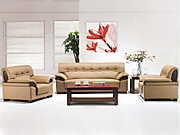 ���y(t��ng)��Ƥɳ�l(f��) CG-CTZPSF-21