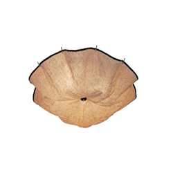 FLOS Celestia Ceiling Lamp ����㲼ˇ��픟�CG-X697|�F��������|��픟�|�k���Ҿ�