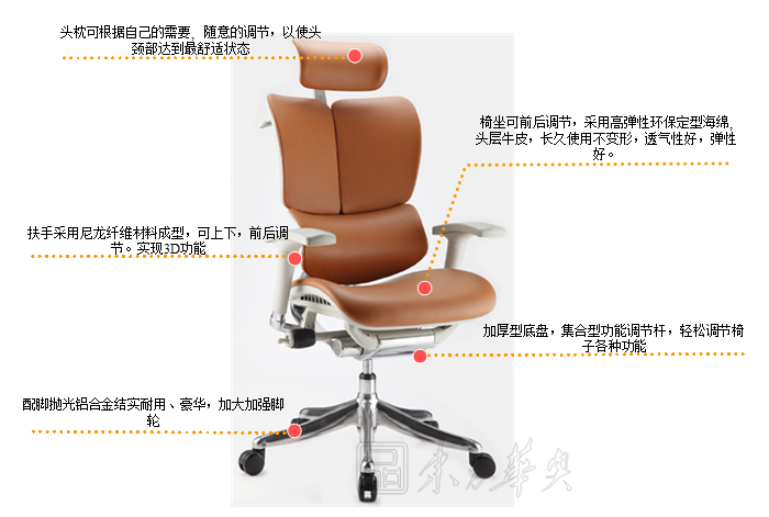 �k����|�F����Ƥ�����|�k���Ҿ�|��Ƥ�����|�k����