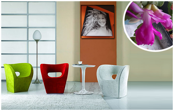 �F(xi��n)����(j��ng)�����e��|�������e��|�k���Ҿ�|С����ؐ����|���e�Σ��������e�Σ��O(sh��)Ӌ(j��)���Σ���͏d�Σ��ư���