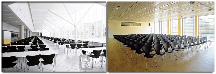 �F���������e��|ľ�����e��|�k���Ҿ�|������|���e����ǢՄ�Σ���ľ���e�����������e��