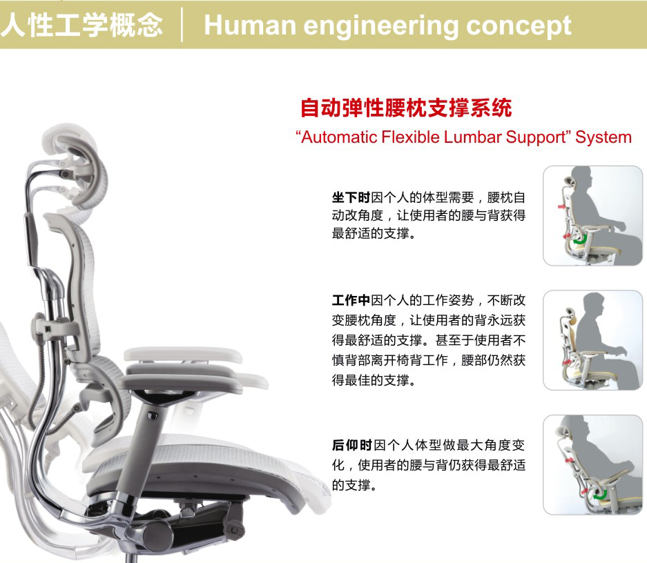 �k�����½��ϵ��Ergohuman+