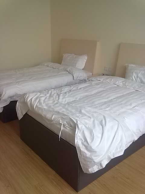 �����f(w��n)�����F(tu��n)�k���Ҿ߹��̰���չʾ